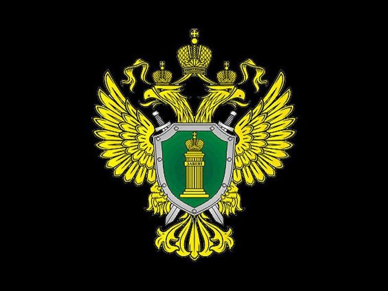 Киберграмотность населения.